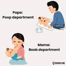 Sữa thực vật: Lựa chọn tuyệt vời cho sức khỏe và hương vị thơm ngon!